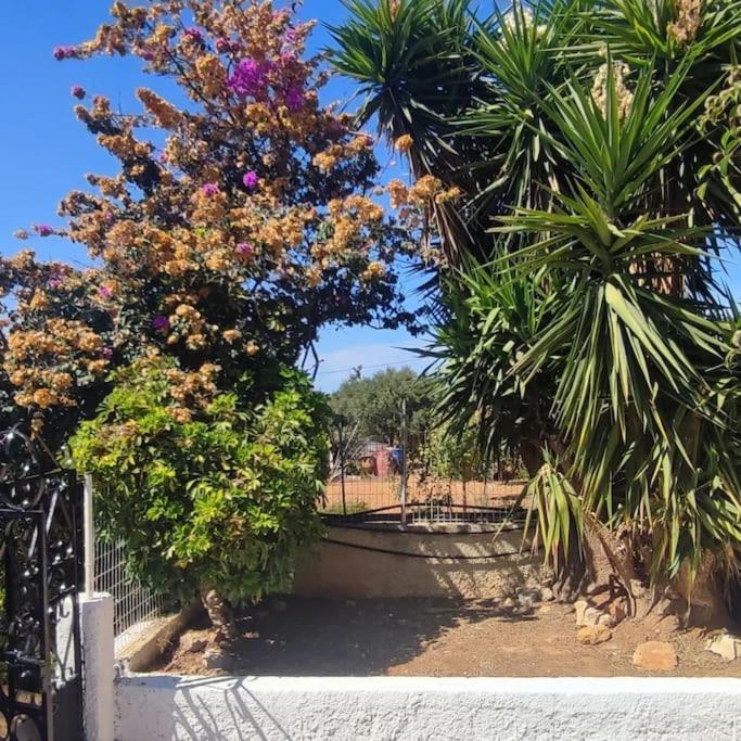 Olive Grove Cottage Skalani Knosos Exterior photo