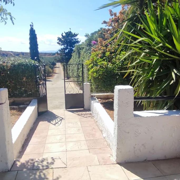 Olive Grove Cottage Skalani Knosos Exterior photo