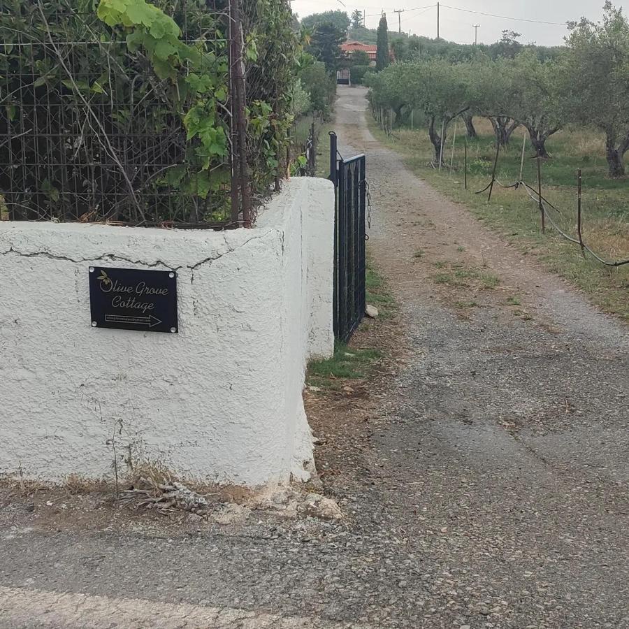 Olive Grove Cottage Skalani Knosos Exterior photo