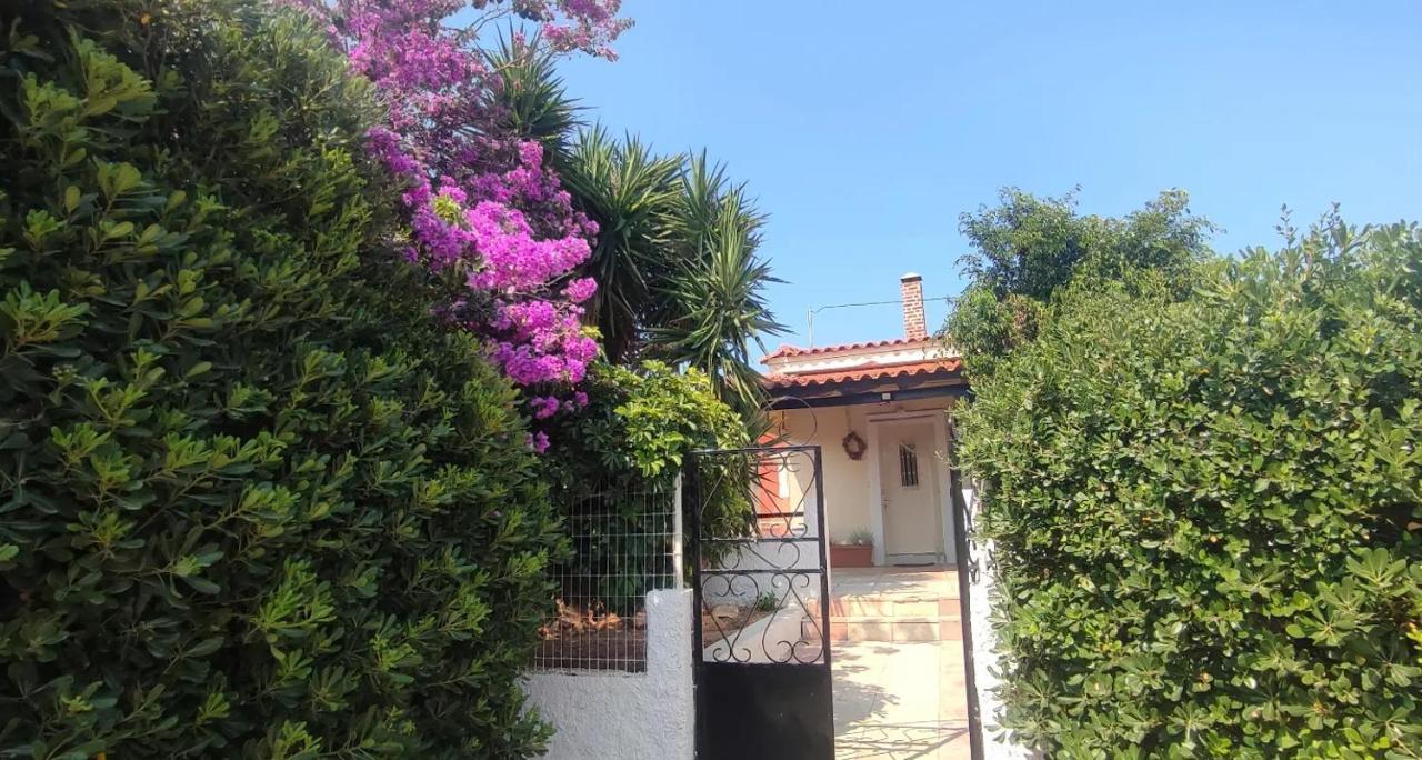 Olive Grove Cottage Skalani Knosos Exterior photo